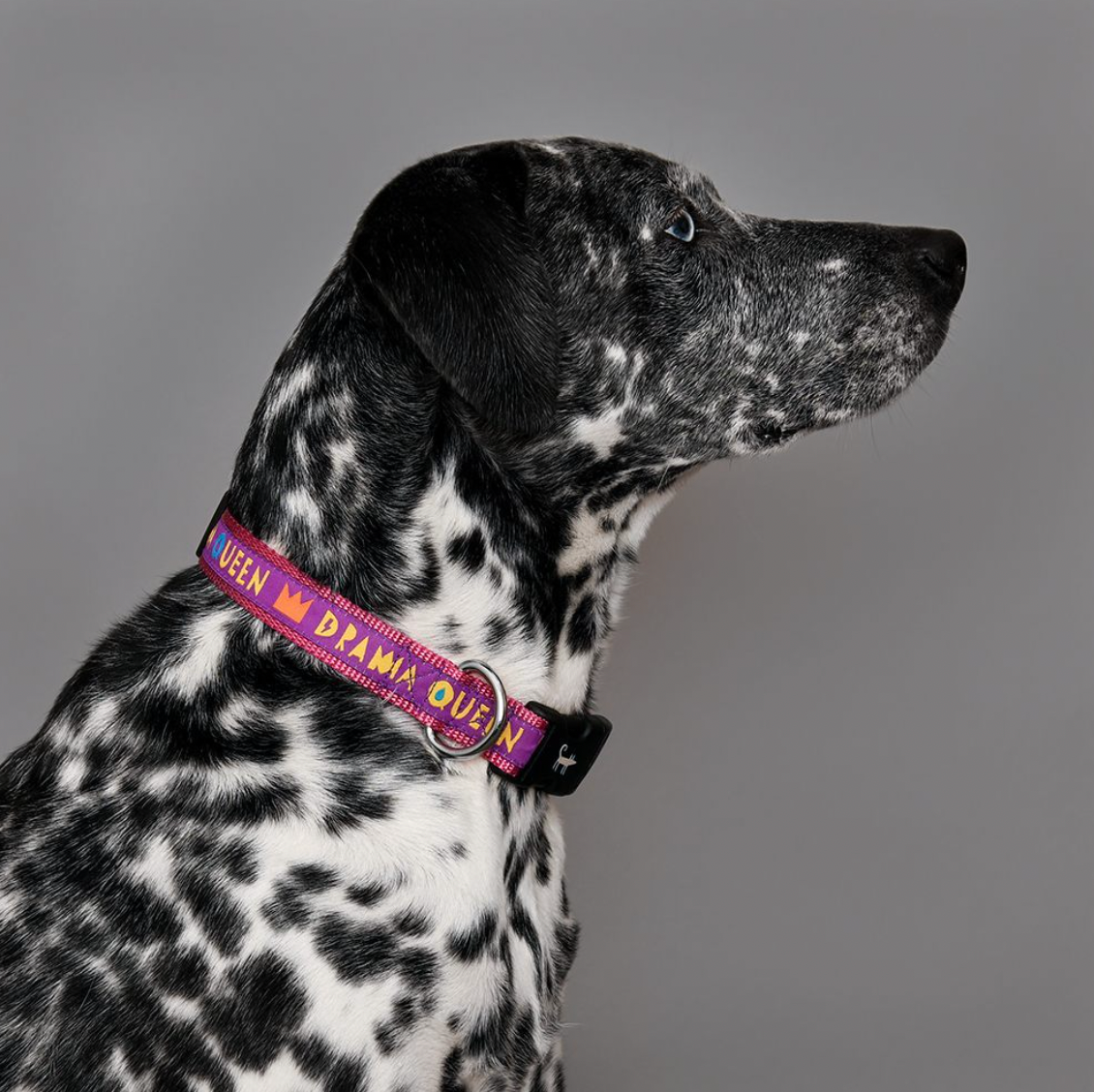 Drama Queen Collar from Sharik