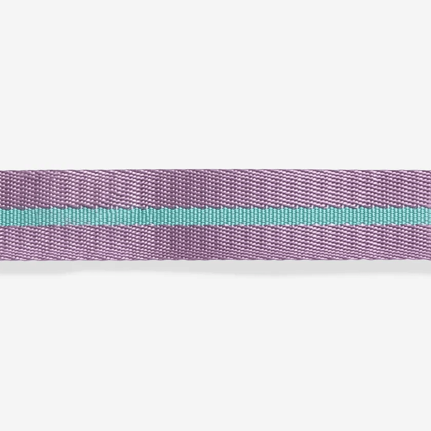Aura Collar from Zee.Dog