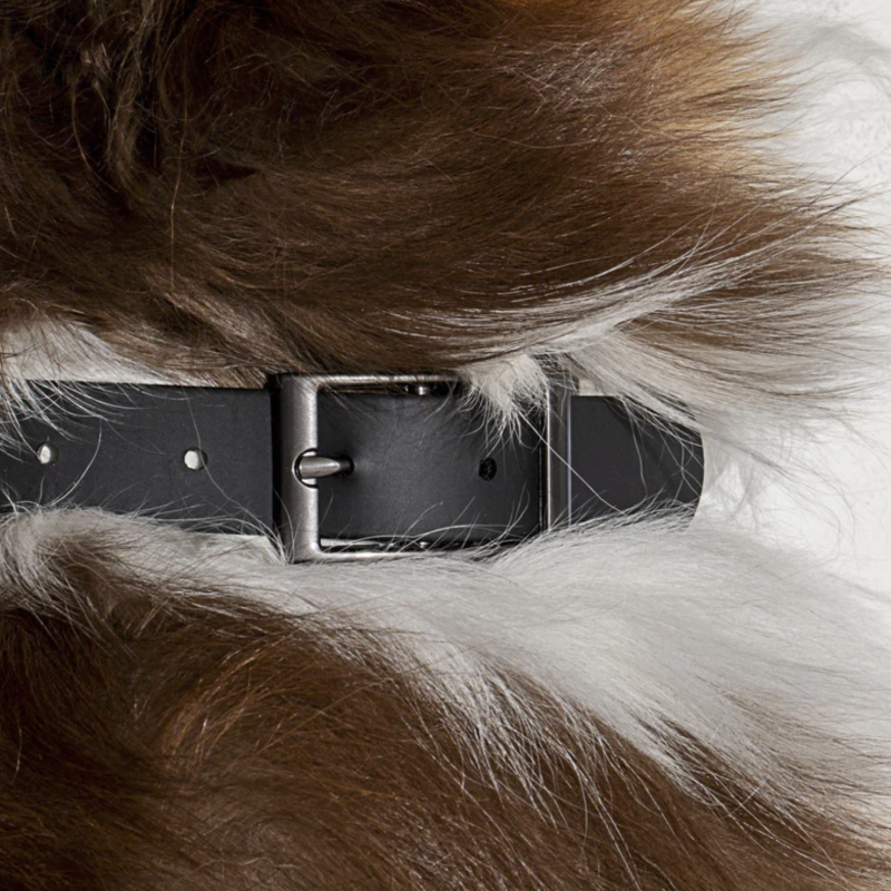 Collar Black