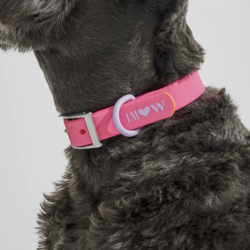 Collar - Limited Collection - Cosmopolitan