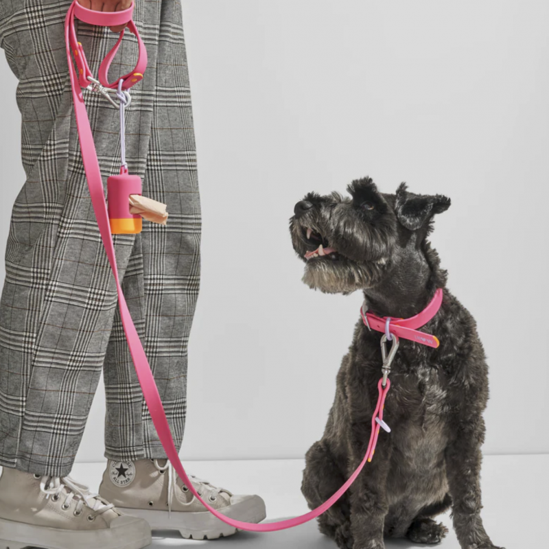 Collar - Limited Collection - Cosmopolitan