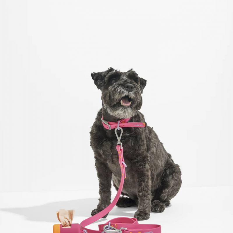 Collar - Limited Collection - Cosmopolitan