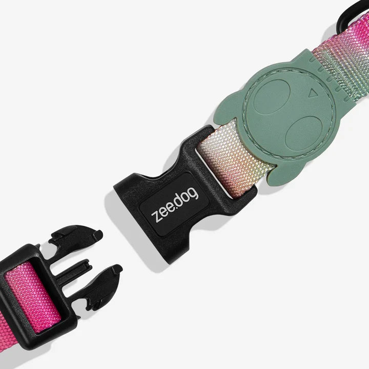 Bliss Collar from Zee.Dog