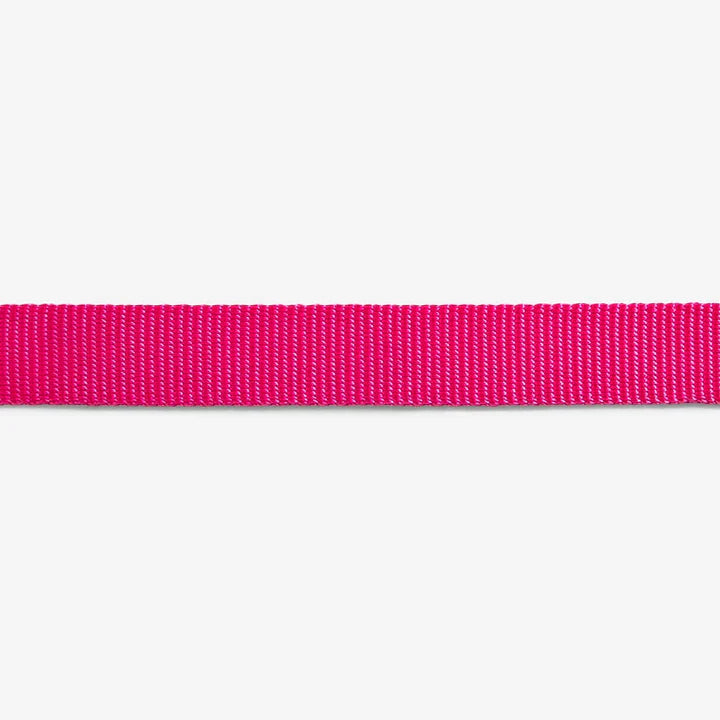 Pink LED Collar