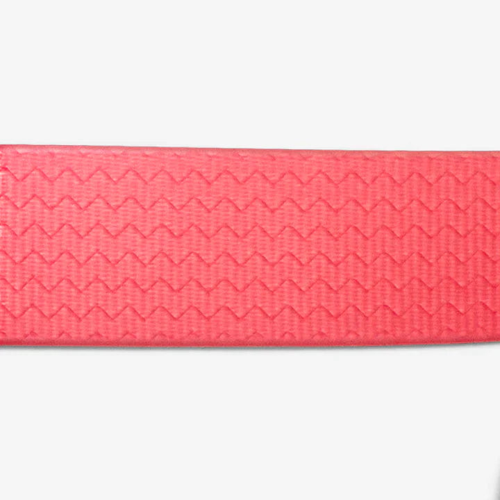 Neopro Bubblegum Collar from Zee.Dog