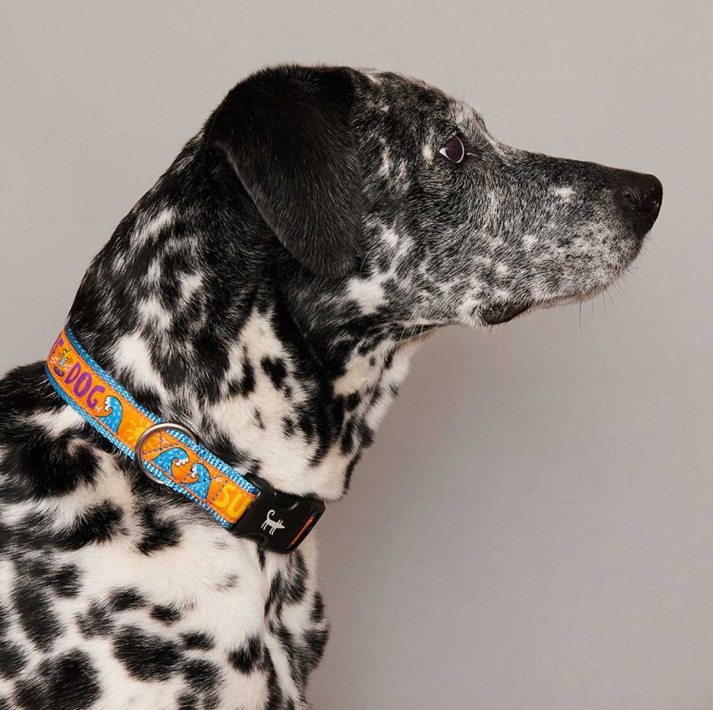 Surf-Dog Collar from Sharik