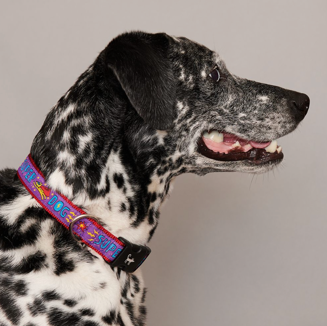 Super Dog Collar from Sharik