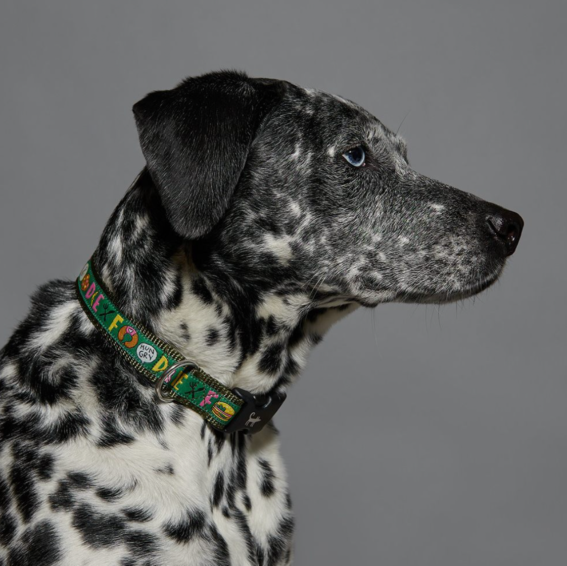Foodie Collar from Sharik