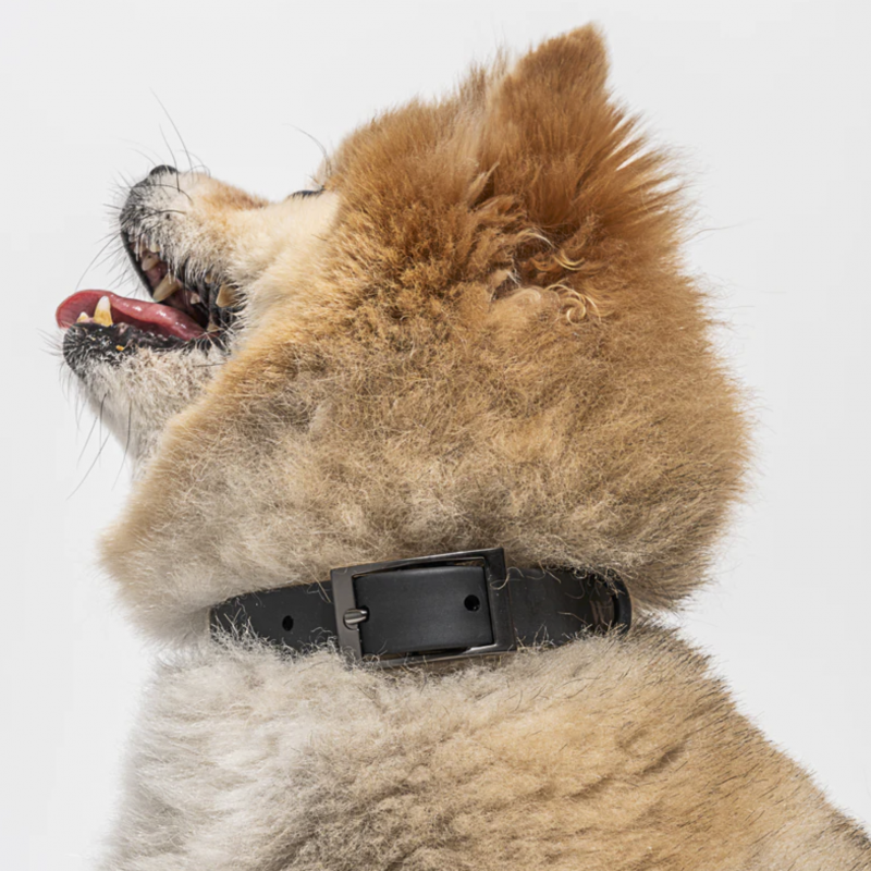 Collar Black
